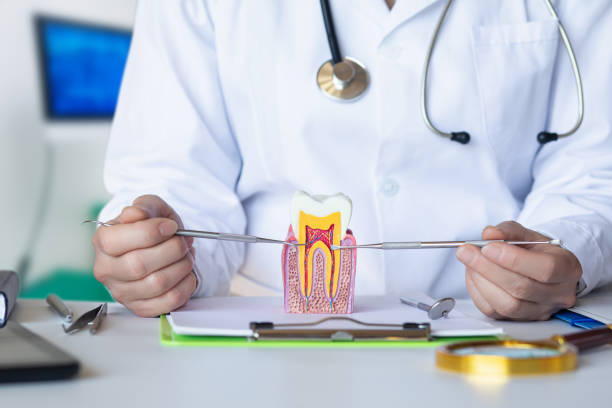 Best Emergency Wisdom Tooth Extraction in Park Falls, WI